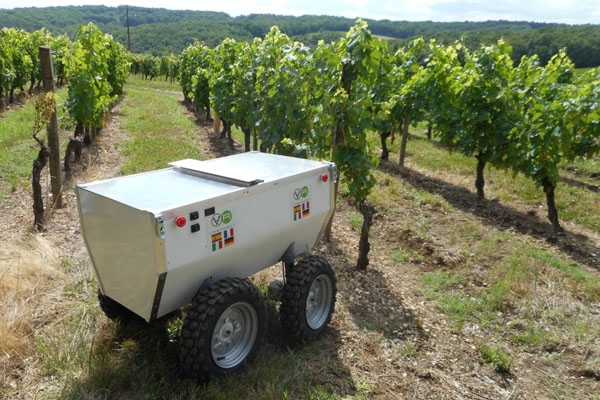 Empresa europea prepara robot para cartografiar viñedos