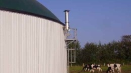 El biogás y una solución para productores agropecuarios