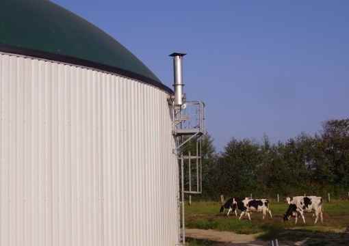 El biogás y una solución para productores agropecuarios